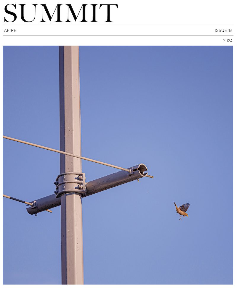 Cover of Summit Issue #16 showing a bird carrying a piece of straw in its beak, alighting from a steel cable against a blue sky